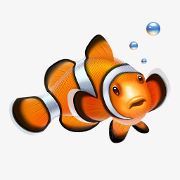 潜水图标设置图标动物png免抠素材_新图网 https://ixintu.com 图标 潜水 设置 动物