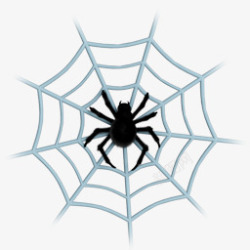 蜘蛛网透明素材