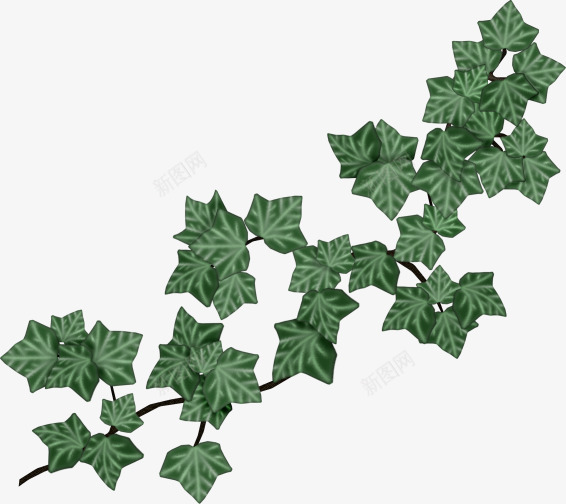 格式二植物png免抠素材_新图网 https://ixintu.com 格式 植物