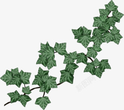 格式二植物素材