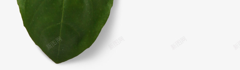 平铺摄影西餐食材蔬菜美食餐饮海报设计合成美工PSD透明png免抠素材_新图网 https://ixintu.com 平铺 摄影 西餐 餐食 蔬菜 美食 餐饮 海报设计 合成 美工 透明