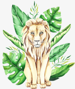 稀有热带动植物剪贴图插画SavannaanimalampTropicalclipart卡通手绘动物素材