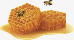 蜂巢美食食物素材