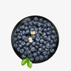 蓝莓水果免扣素材