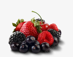 berries522405果蔬素材