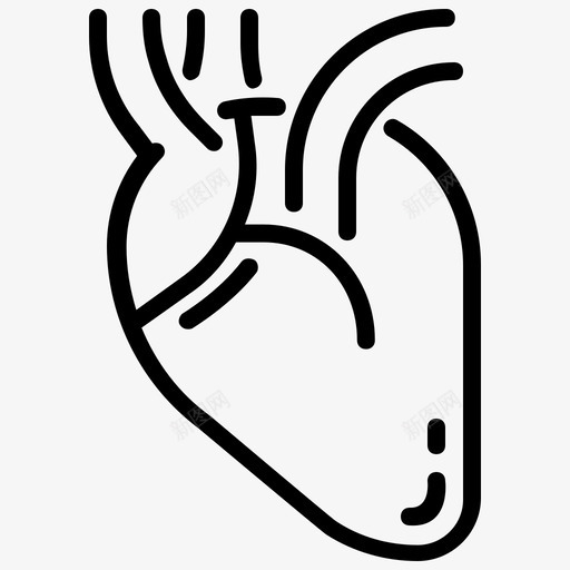 心脏解剖学医学svg_新图网 https://ixintu.com 医学 心脏 解剖学 器官 概论