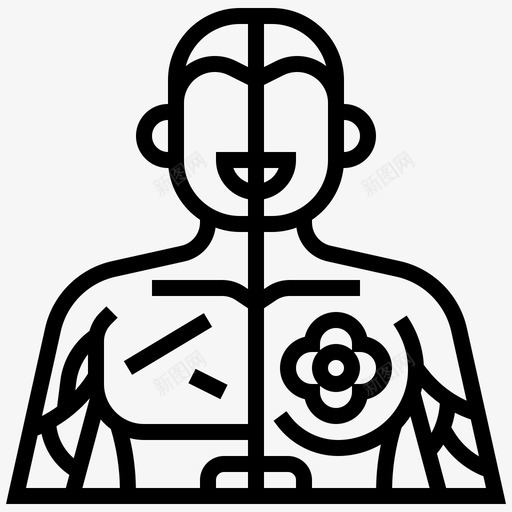 肌肉解剖学身体svg_新图网 https://ixintu.com 肌肉 解剖学 身体 胸部 人体 器官