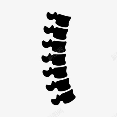 脊柱解剖学背部图标