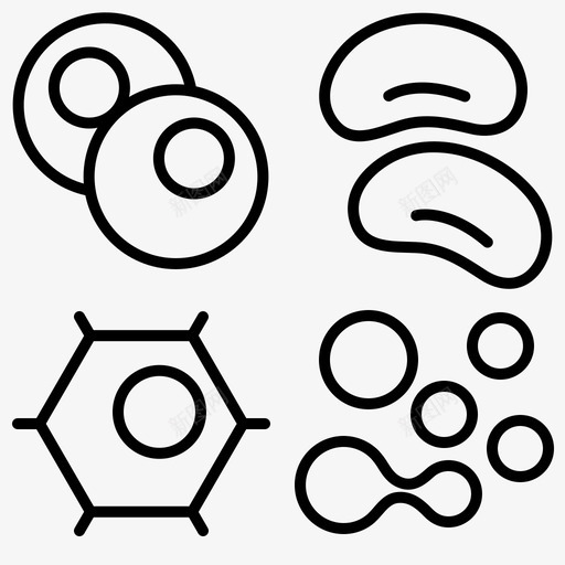 细胞生物学人类svg_新图网 https://ixintu.com 细胞生物学 人类 医疗保健