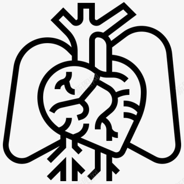 心脏解剖主动脉图标