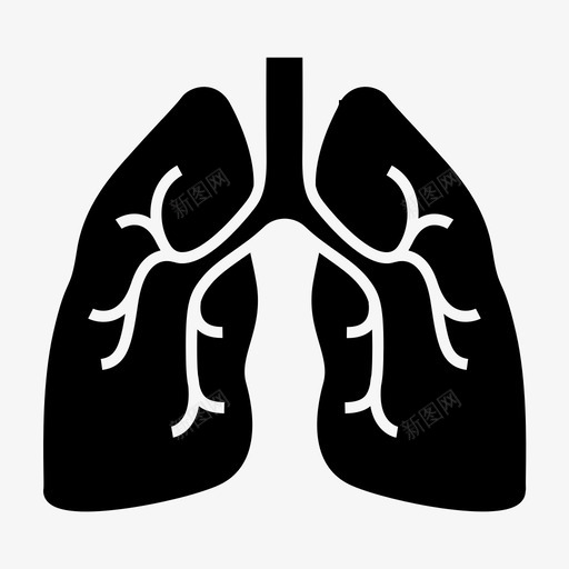 肺脏学解剖学肺svg_新图网 https://ixintu.com 医学专家 肺脏 解剖学