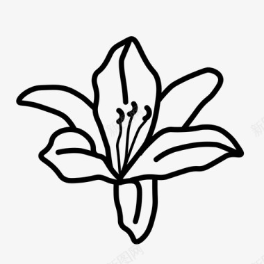 百合花自然图标