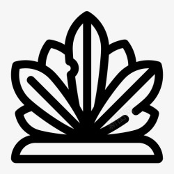龙舌兰属植物龙舌兰植物5月5日高清图片