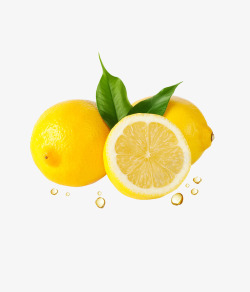 Lemon动植物素材