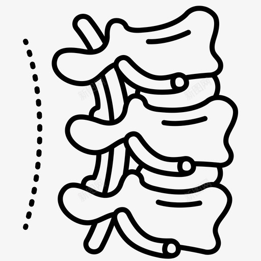 脊柱解剖学骨骼svg_新图网 https://ixintu.com 骨骼 脊柱 解剖学 医疗保健