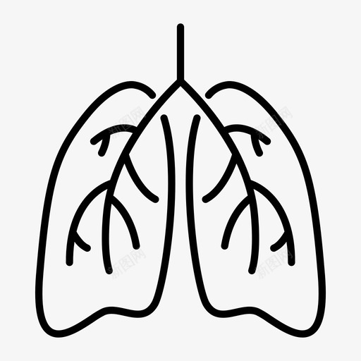 肺解剖学器官svg_新图网 https://ixintu.com 解剖学 器官 病毒