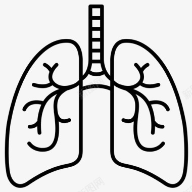 肺解剖器官图标