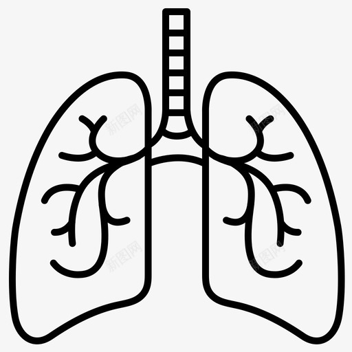 肺解剖器官svg_新图网 https://ixintu.com 解剖 器官 医疗保健