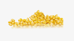 黄豆食材素材