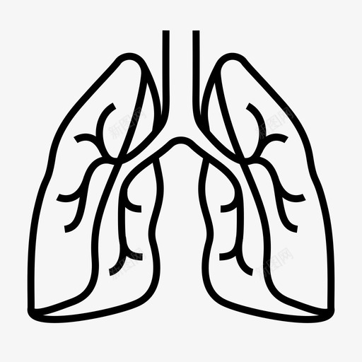 肺脏学解剖学肺svg_新图网 https://ixintu.com 医学专家 肺脏 解剖学