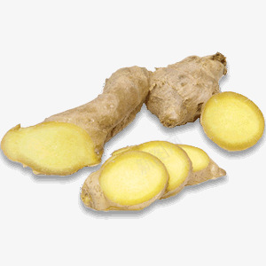 Ginger 图标png免抠素材_新图网 https://ixintu.com 图标