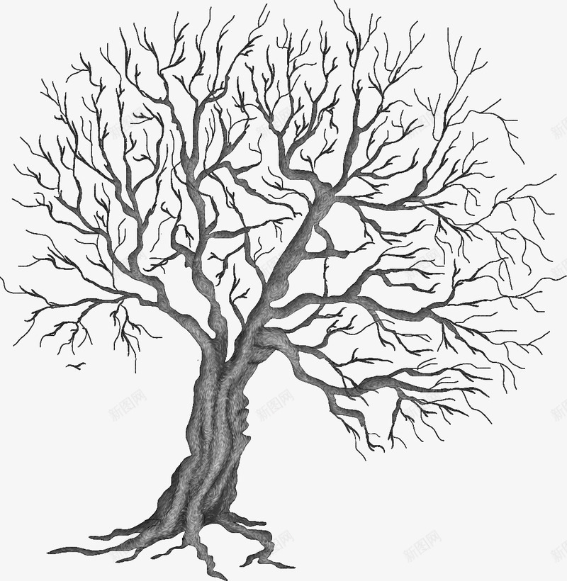 Winter trees3喜欢png免抠素材_新图网 https://ixintu.com 喜欢