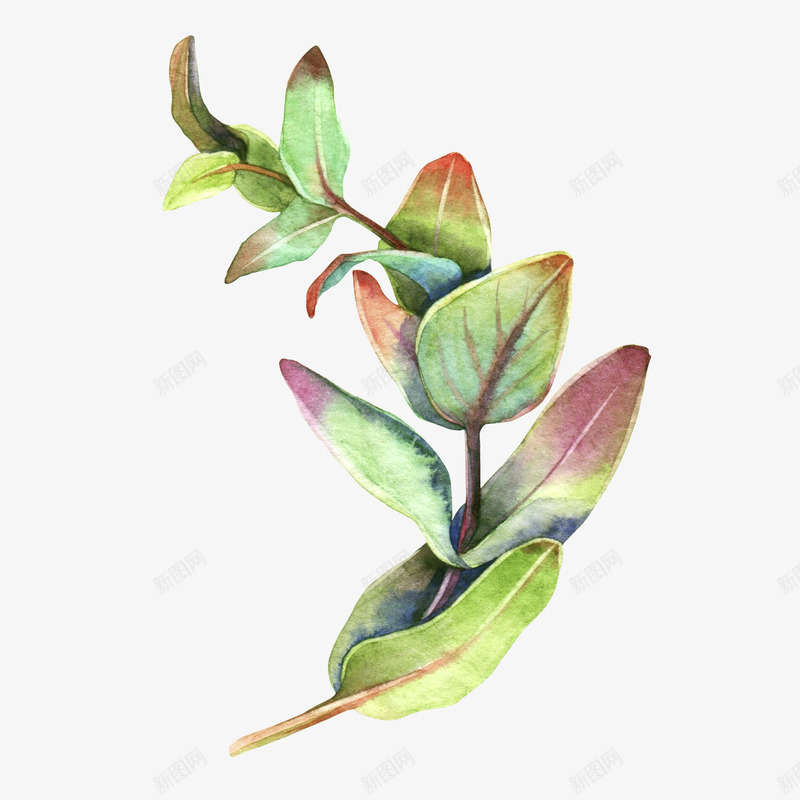 enchantedwatercolorclipart    手绘 amp 复古png免抠素材_新图网 https://ixintu.com 手绘 复古