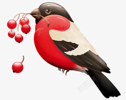 知更鸟水彩红色的罗宾 水彩 知更鸟 鸟 浆果在嘴 自然 野生动物 红色高清图片
