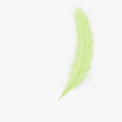 Feather07免扣素材