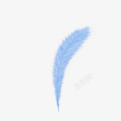 Feather08免扣素材