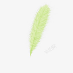 Feather06免扣素材