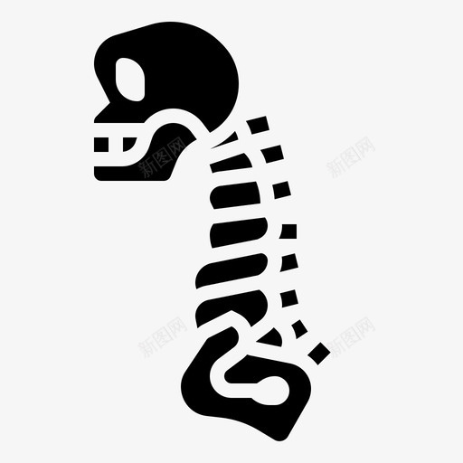 脊柱人骨骼svg_新图网 https://ixintu.com 脊柱 骨骼 脊椎动物 马戏团 元素