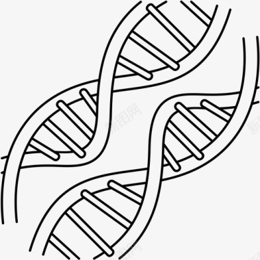 人类基因组遗传物质遗传学图标