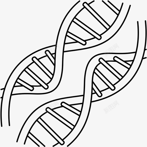 人类基因组遗传物质遗传学svg_新图网 https://ixintu.com 人类 基因组 遗传物质 遗传学 分子生物学