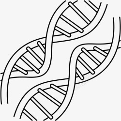 遗传物质人类基因组遗传物质遗传学高清图片