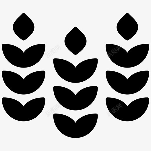 大麦农作物谷物svg_新图网 https://ixintu.com 大麦 农作物 谷物 小麦 秋粮