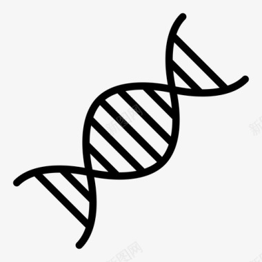 dna遗传学人类图标