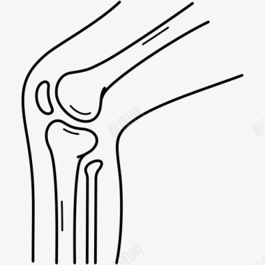 人膝关节人体膝关节解剖学图标