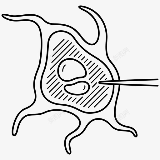 生物科学生物技术制药svg_新图网 https://ixintu.com 生物科学 生物技术 制药 控制 疾病 加强 安全