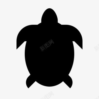 海龟动物贝壳图标