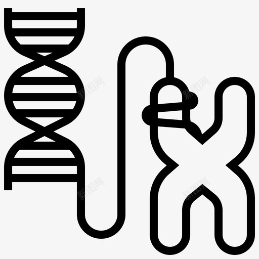 染色体生物学细胞svg_新图网 https://ixintu.com 染色体 生物学 细胞 遗传学 生物 生物工程 工程系