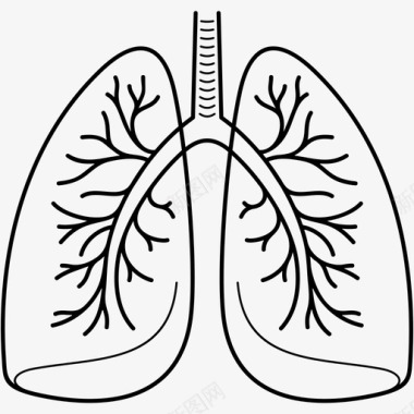 肺图解剖学肺部感染图标