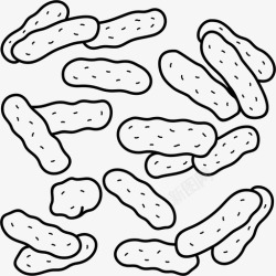 染色图标鸡巴尔通体菌需氧杆状高清图片