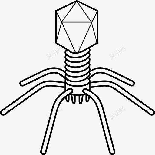 噬菌体病毒细菌间谍svg_新图网 https://ixintu.com 细菌 噬菌体 病毒 间谍 杀手 破坏
