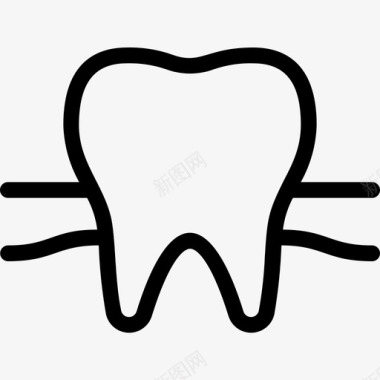 牙齿和牙龈解剖学牙科图标