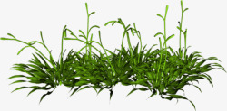我爱ps140616草丛蝈蝈的小窝吧百度贴吧植物素材
