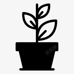 循环生长植物生态绿色高清图片