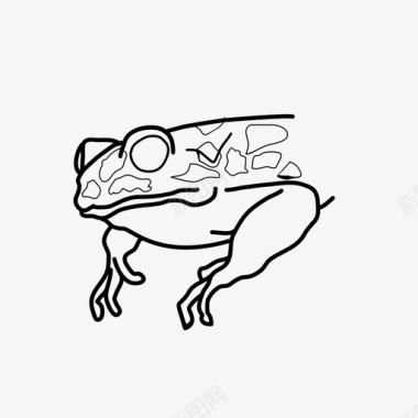 青蛙动物插图图标