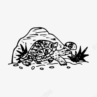 乌龟动物手绘图标
