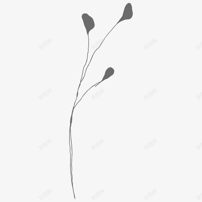 botanical leaves  sketched florals花草png免抠素材_新图网 https://ixintu.com 花草